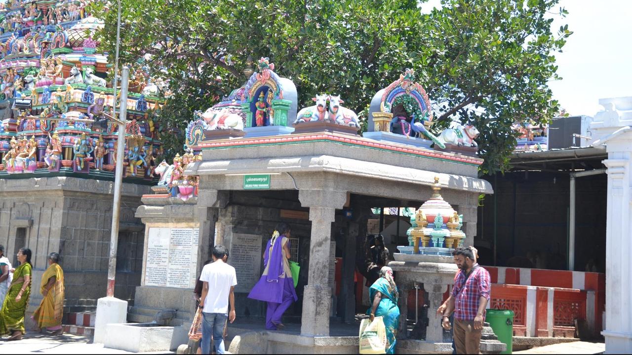 Der Wunschbaum im Kapaleeshvarar Tempel im indischen Chennai. Der Wunschbaum im Kapaleeshvarar Tempel im indischen Chennai.