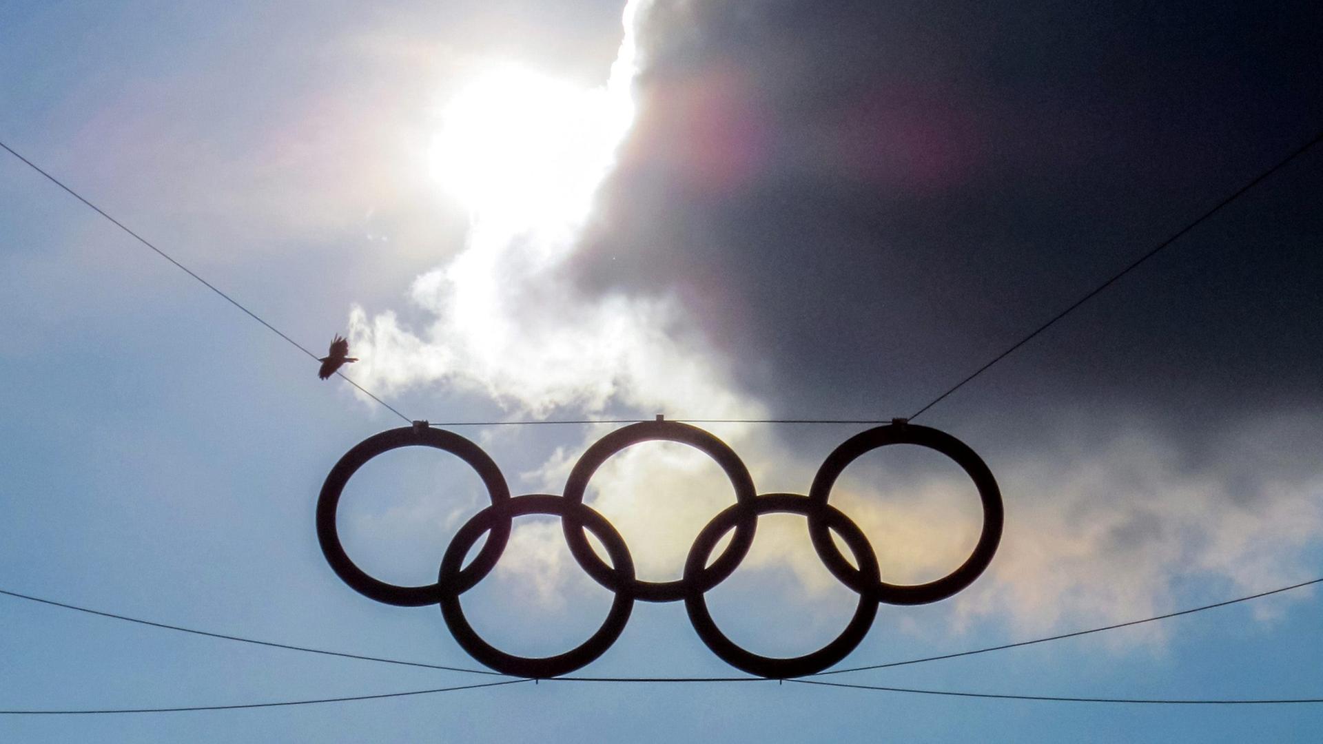 Olympische Ringe am Haupteingang des Olympiastadions Berlin Olympische Ringe am Haupteingang des Olympiastadions Berlin