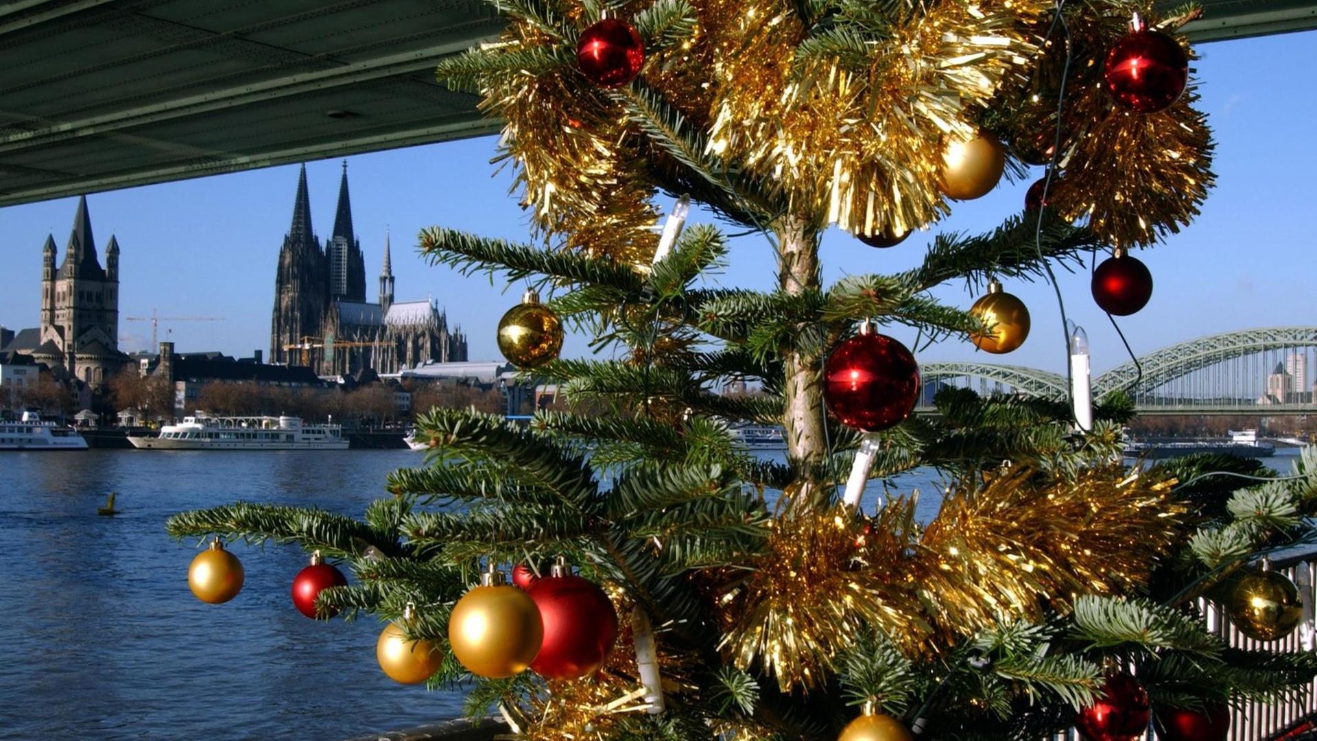 Ein geschmückter Tannen-Baum steht am Rhein-Ufer in Köln.