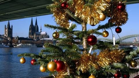 Ein Tannenbaum, geschmückt mit bunten Kugeln und goldenem Lametta, steht in Köln am Rheinufer unter der Deutzer Brücke.