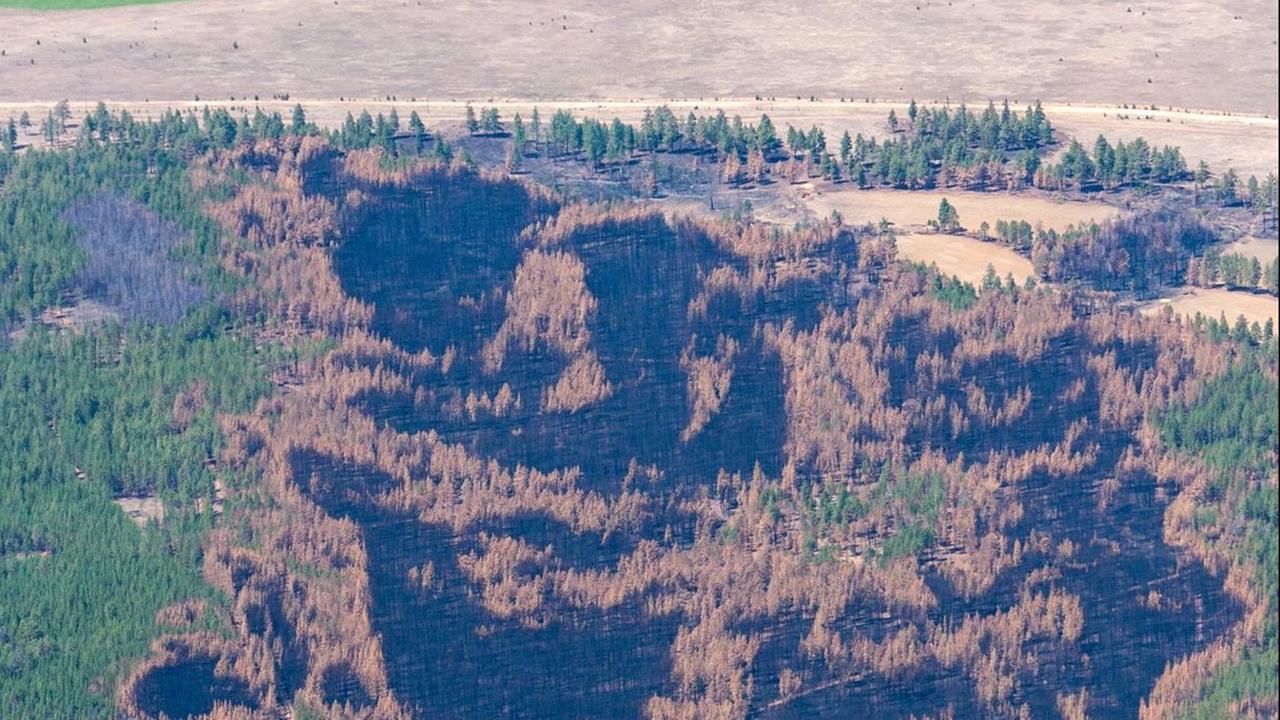 Luftaufnahme einer verbrannten Landschaft. Luftaufnahme einer verbrannten Landschaft.