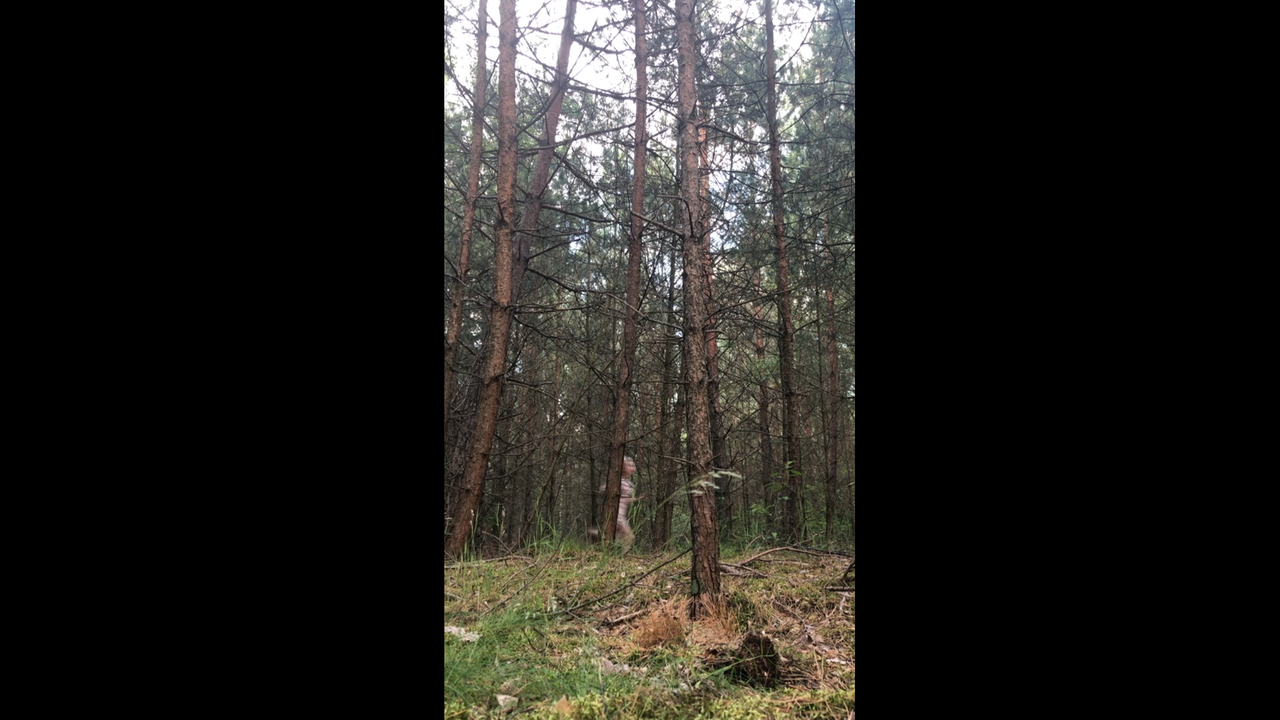 Bei den Tonaufnahmen für das Stück "Ich" aus der Feature-Antenne. Ein Kind läuft in einem Wald. Bei den Tonaufnahmen für das Stück "Ich" aus der Feature-Antenne. Ein Kind läuft in einem Wald.