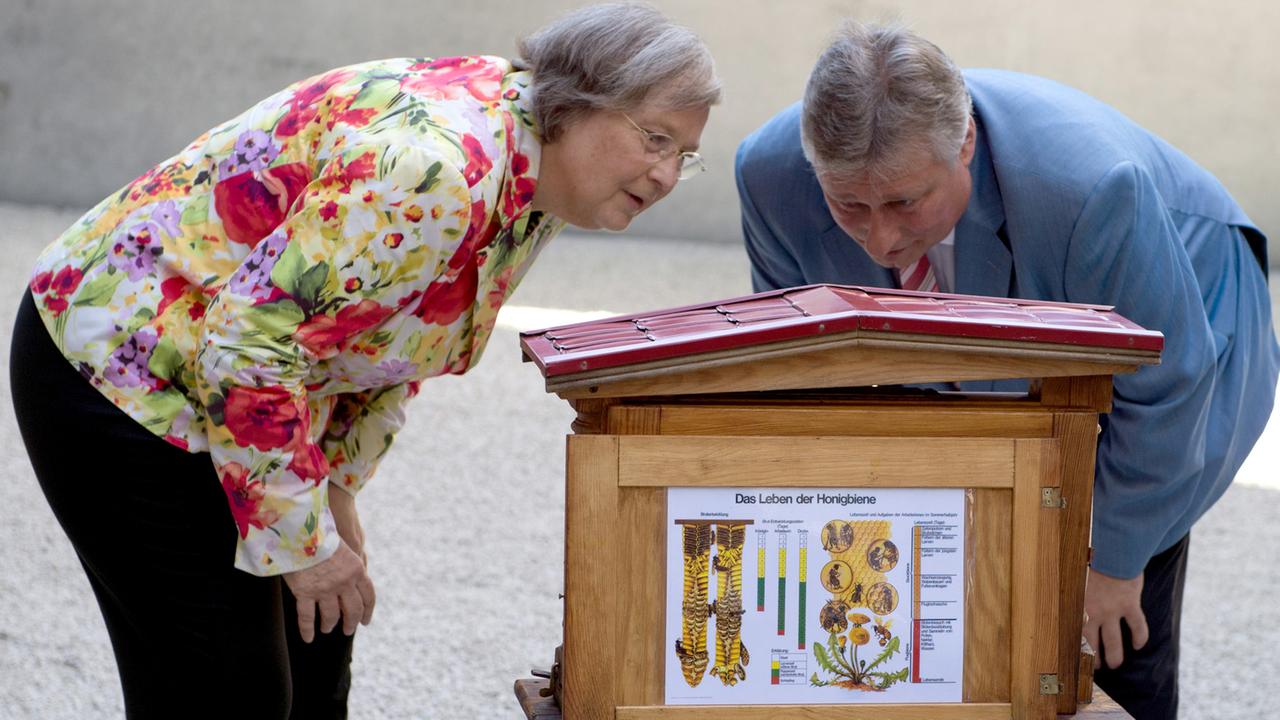 Bienen im Regierungsviertel: Bärbel Höhn (Die Grünen) und Martin Burkert (SPD) betrachten in einem Hof des Paul-Löbe-Hauses in Berlin einen neuen Bienenstock. Bienen im Regierungsviertel: Bärbel Höhn (Die Grünen) und Martin Burkert (SPD) betrachten in einem Hof des Paul-Löbe-Hauses in Berlin einen neuen Bienenstock.