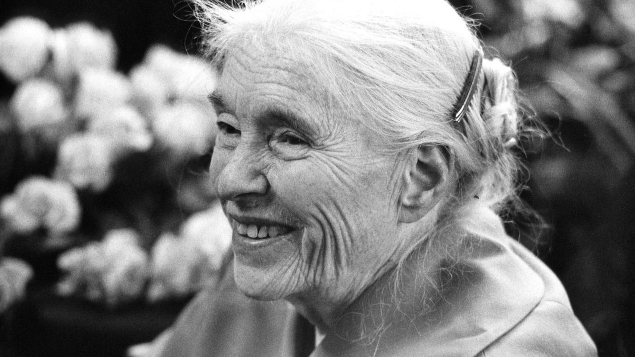Schwarzweißporträt der Schriftstellerin Anna Seghers, die freundlich lacht. Schwarzweißporträt der Schriftstellerin Anna Seghers, die freundlich lacht.