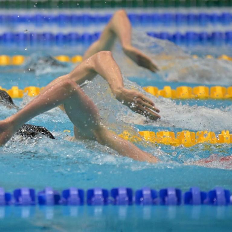 Von den Freistil-Schwimmern sind über Wasser nur die Ellbogen zu sehen