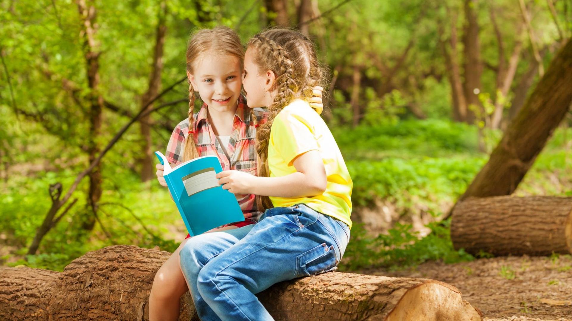 Portrait of two cute girls whispering secrets sitting on the log in summer park Portrait of two cute girls whispering secrets sitting on the log in summer park