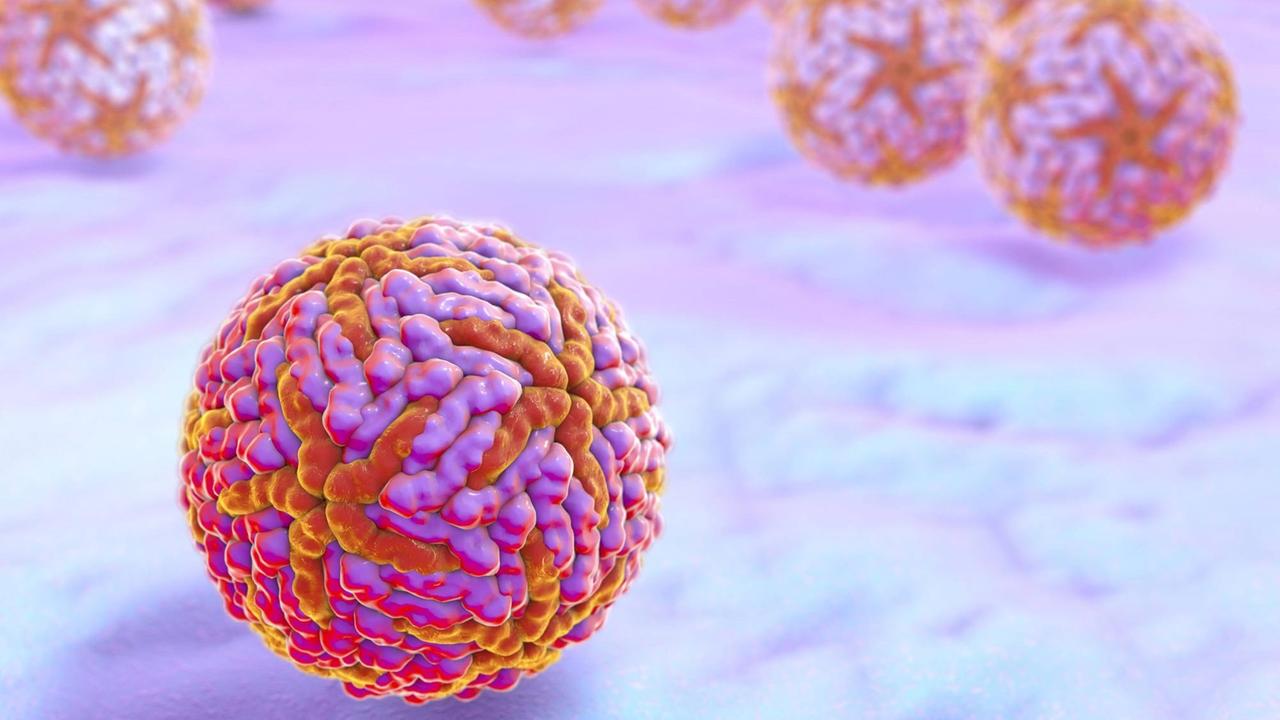Die Computer-Illustration des Zika-Virus zeigt einen bunten Ball, der aus kleineren Kügelchen zusammengesetzt ist. Die Computer-Illustration des Zika-Virus zeigt einen bunten Ball, der aus kleineren Kügelchen zusammengesetzt ist.