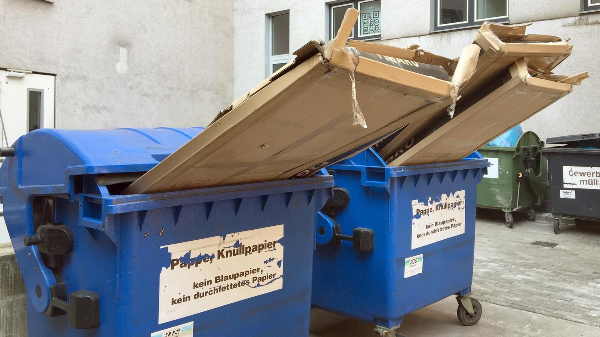 In zwei Altpapier Mülltonnen in Dresden (Sachsen) stecken unsachgemäß entsorgte große Pappkartons. In zwei Altpapier Mülltonnen in Dresden (Sachsen) stecken unsachgemäß entsorgte große Pappkartons.