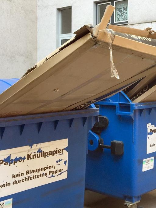 In zwei Altpapier Mülltonnen in Dresden (Sachsen) stecken unsachgemäß entsorgte große Pappkartons.