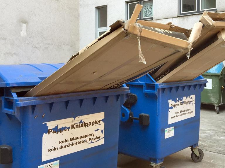 In zwei Altpapier Mülltonnen in Dresden (Sachsen) stecken unsachgemäß entsorgte große Pappkartons.