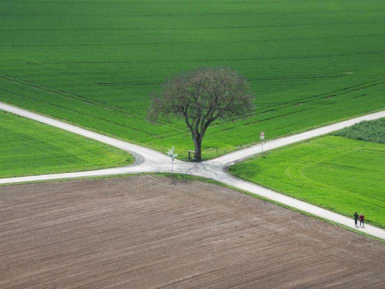 Ein Baum steht am 06.04.2015 in Münzenberg (Hessen) unterhalb der Burganlage an der Kreuzung zweier Wege, die durch die fruchtbaren Felder führen.