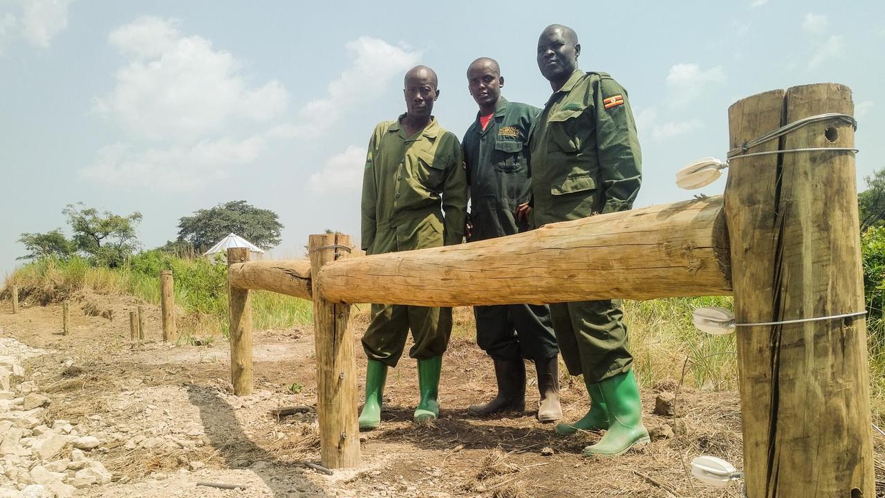 Ranger beim Bau eines Zauns um den Queen-Elizabeth-Nationalpark. Ranger beim Bau eines Zauns um den Queen-Elizabeth-Nationalpark.