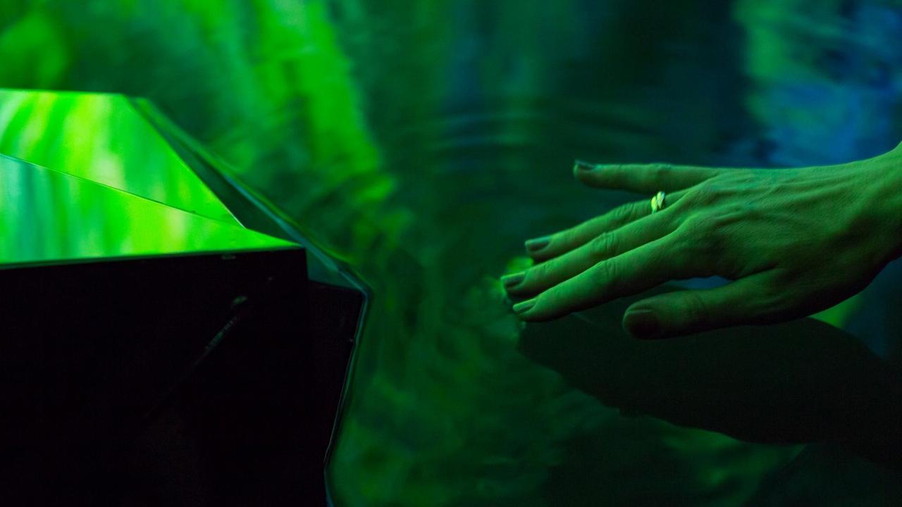 Ins grüne Licht tauch die Hand in der Installation "Habitat" von Heleen Blanken und Naivi and Stijn van Beek. Ins grüne Licht tauch die Hand in der Installation "Habitat" von Heleen Blanken und Naivi and Stijn van Beek.