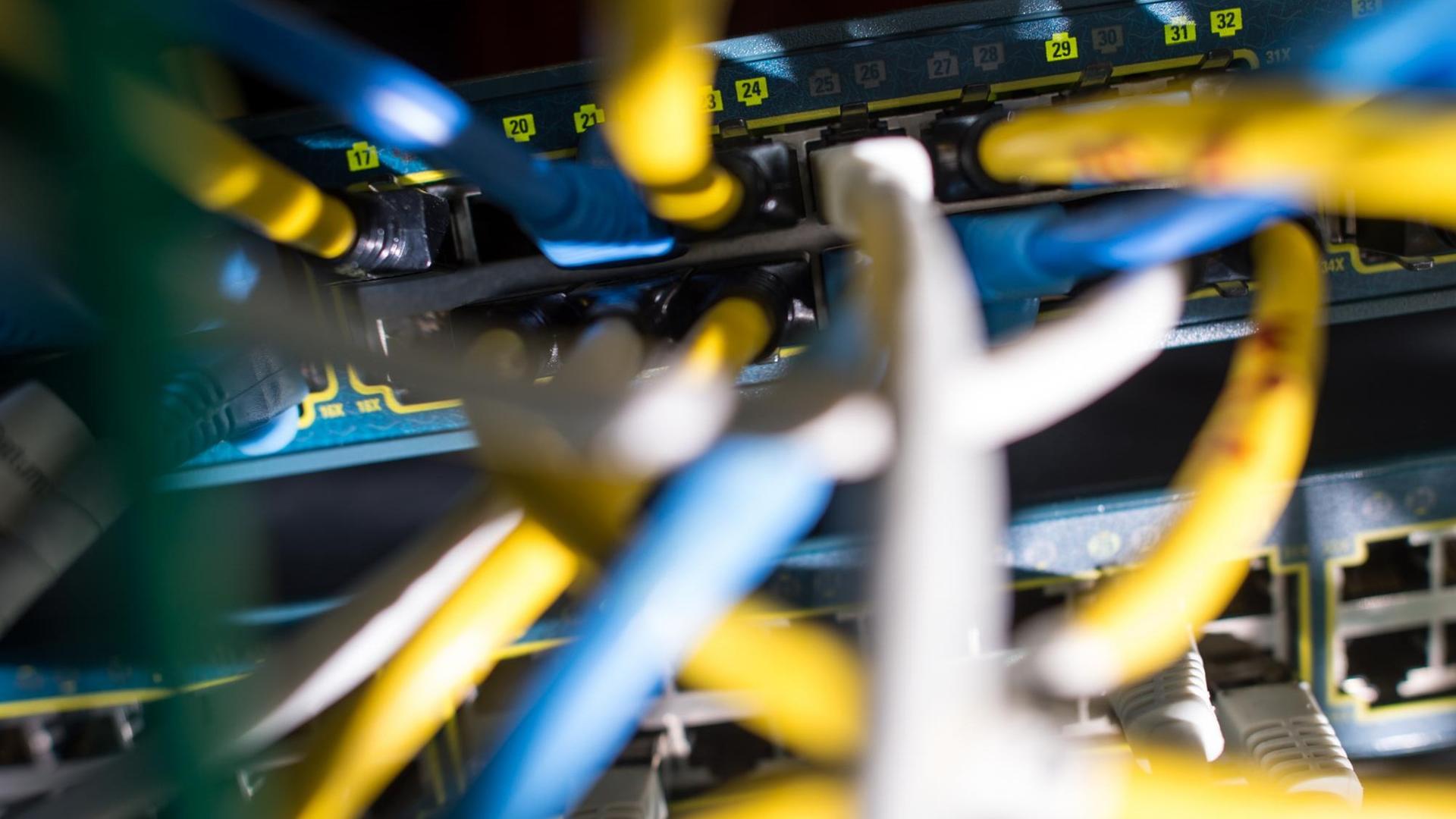 Netzwerkkabel stecken in einem Serverraum in einem Switch. Netzwerkkabel stecken in einem Serverraum in einem Switch.