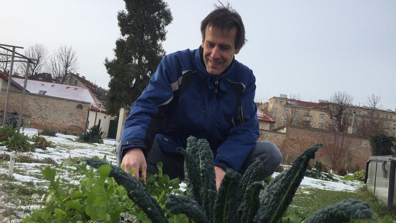 Wolfgang Palme. Ein Mann sitzt auf einem Feld und zeigt auf Salat. Wolfgang Palme. Ein Mann sitzt auf einem Feld und zeigt auf Salat.