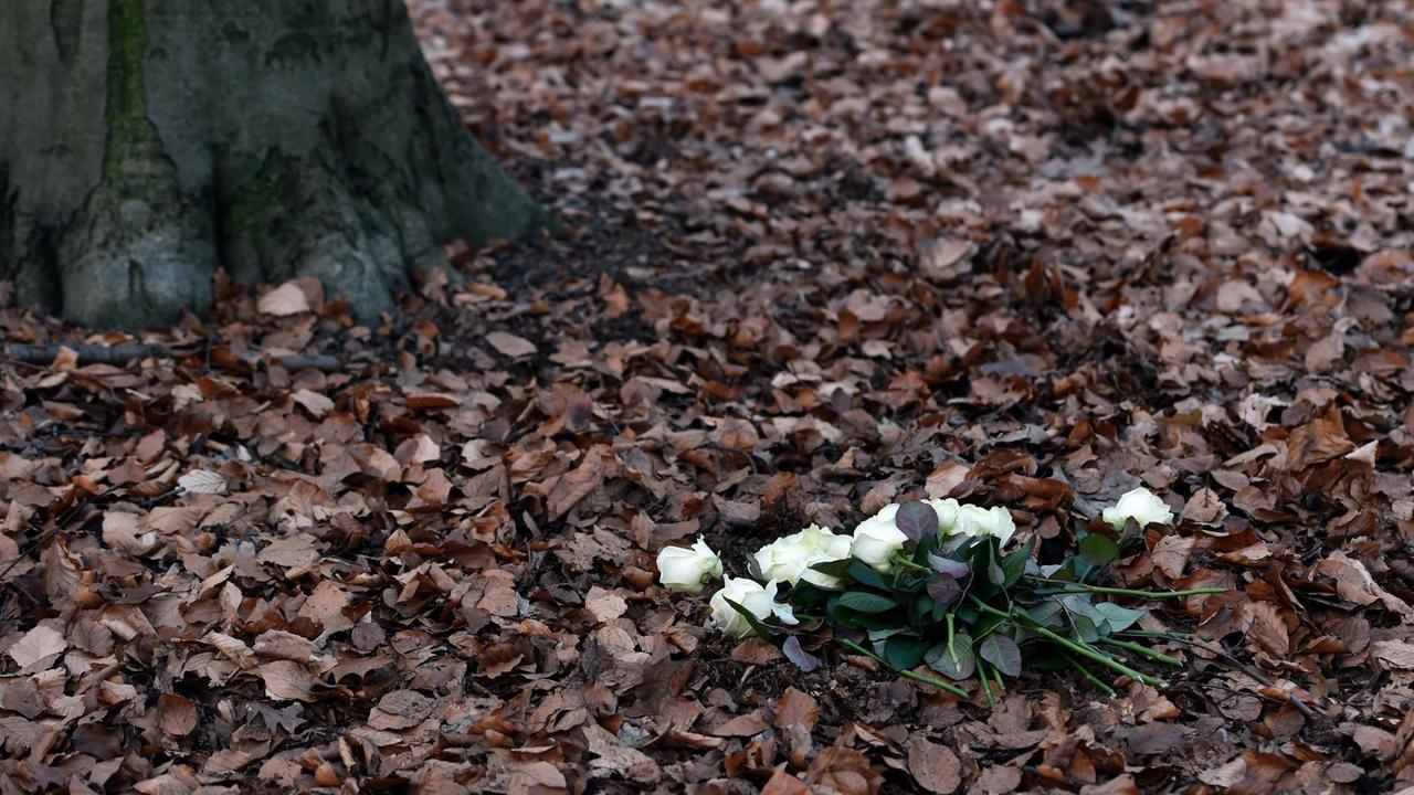 12.02.2019, Nordrhein-Westfalen, Herten: Weiße Rosen liegen vor einem Baum im Friedwald Ruhestätte Natur. Hier kann man sich anonym in einer Urne unter einem Baum bestatten lassen. 12.02.2019, Nordrhein-Westfalen, Herten: Weiße Rosen liegen vor einem Baum im Friedwald Ruhestätte Natur. Hier kann man sich anonym in einer Urne unter einem Baum bestatten lassen.