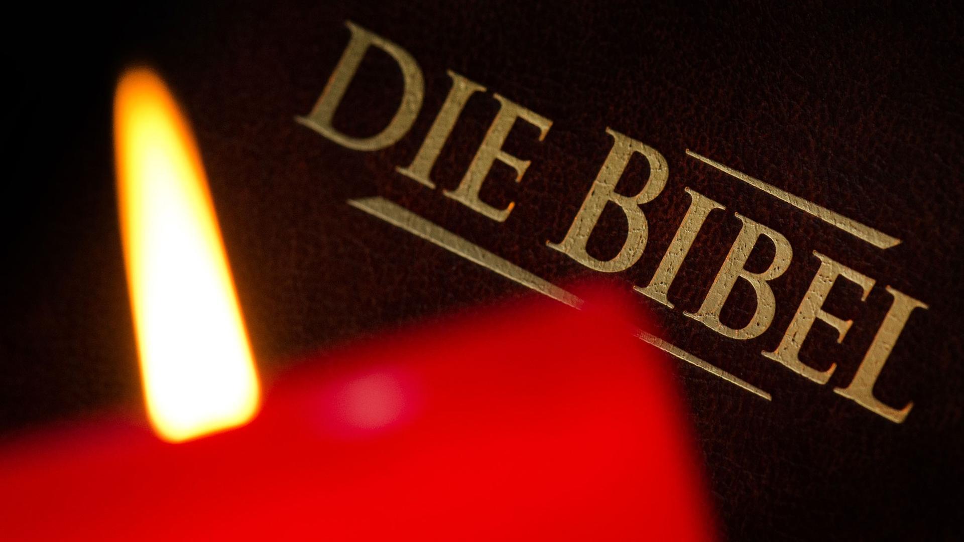 Bibel Bibel