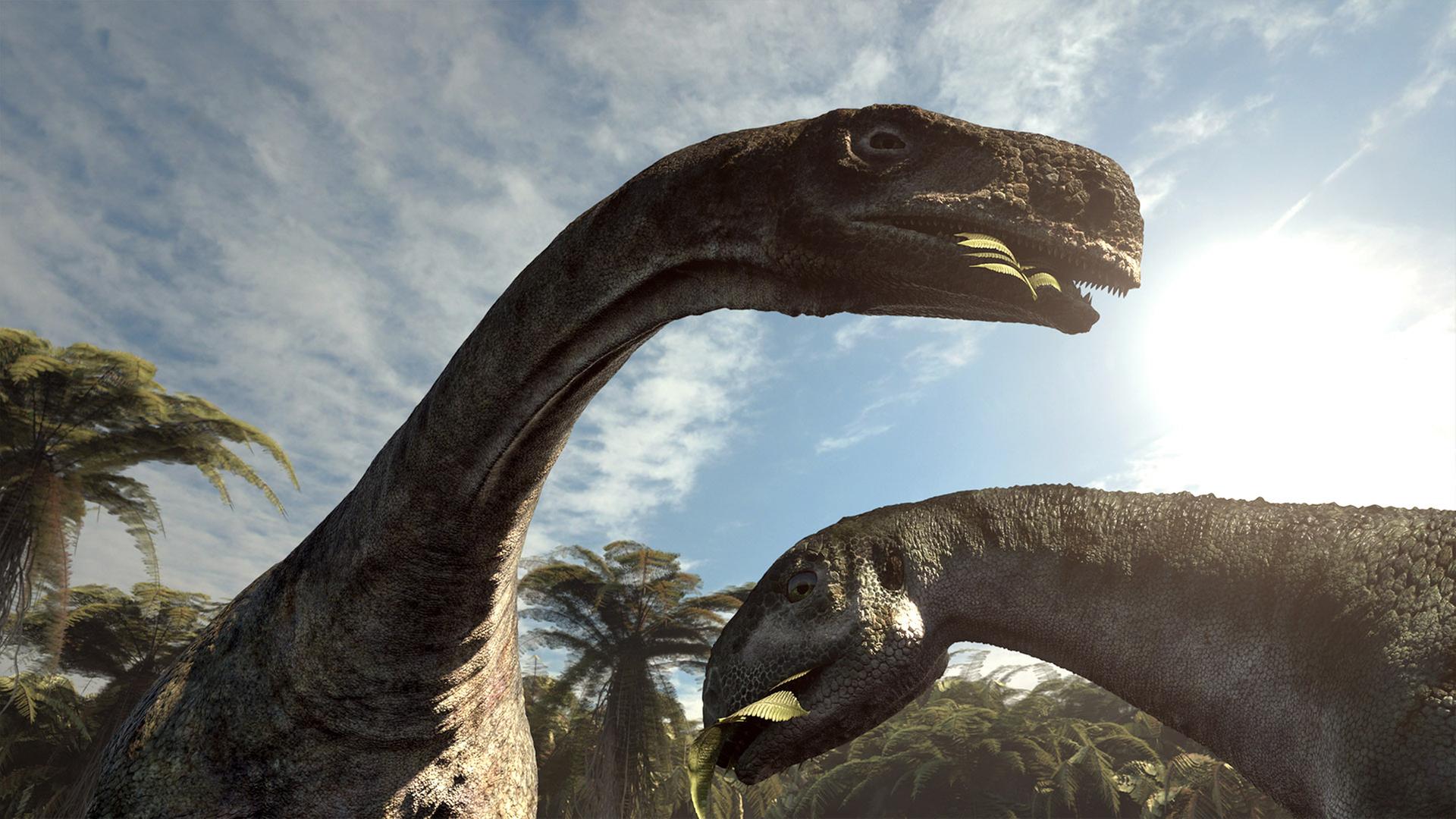 Zwei Dinosaurier in einer Filmszene, Hälse ragen in den Himmel, sie essen Blätter Zwei Dinosaurier in einer Filmszene, Hälse ragen in den Himmel, sie essen Blätter