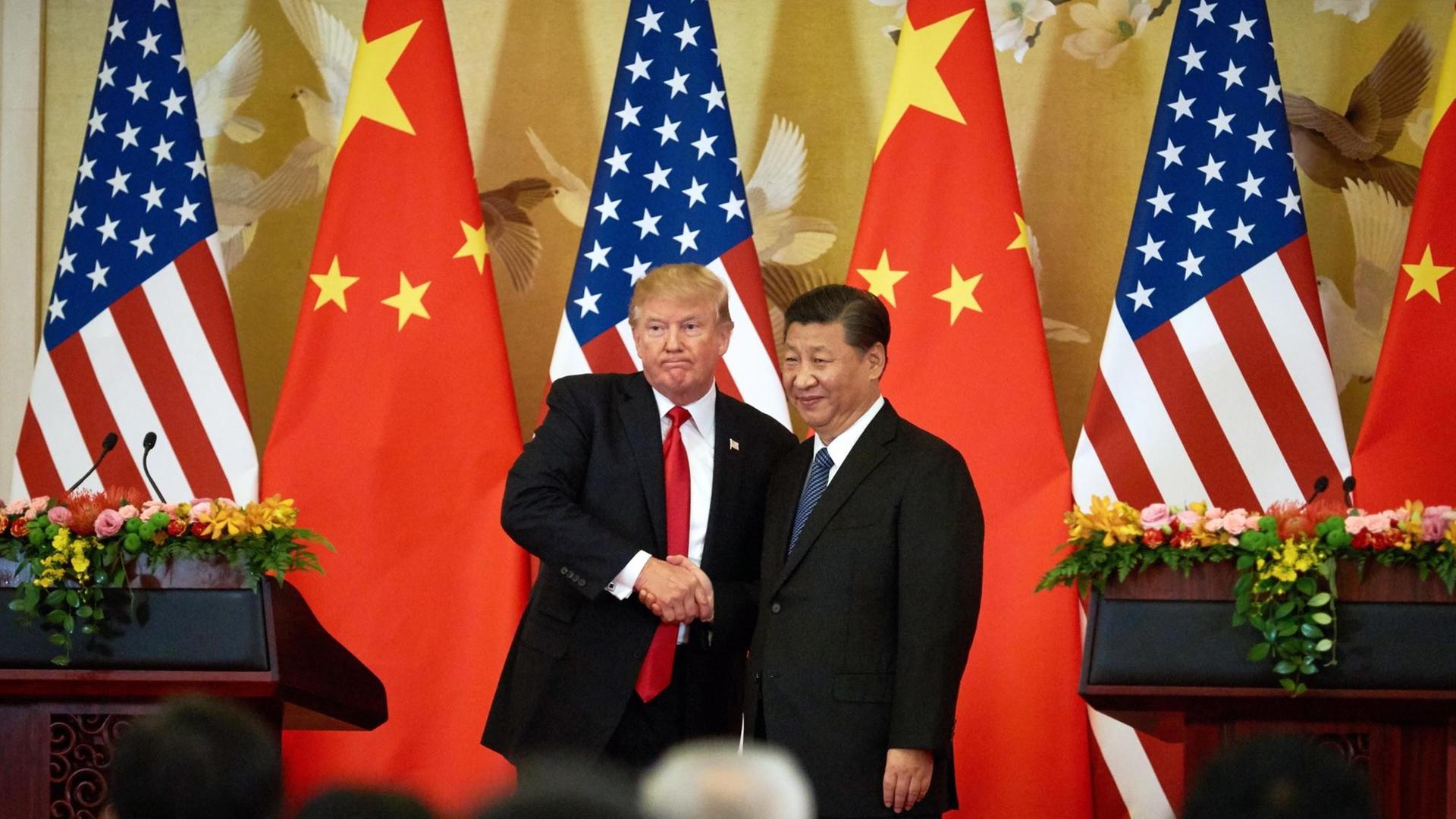 US-Präsident Donald Trump und der chinesische Präsident Xi Jinping bei einer Pressekonferenz nach ihrem Treffen in der Großen Halle des Volkes in Peking