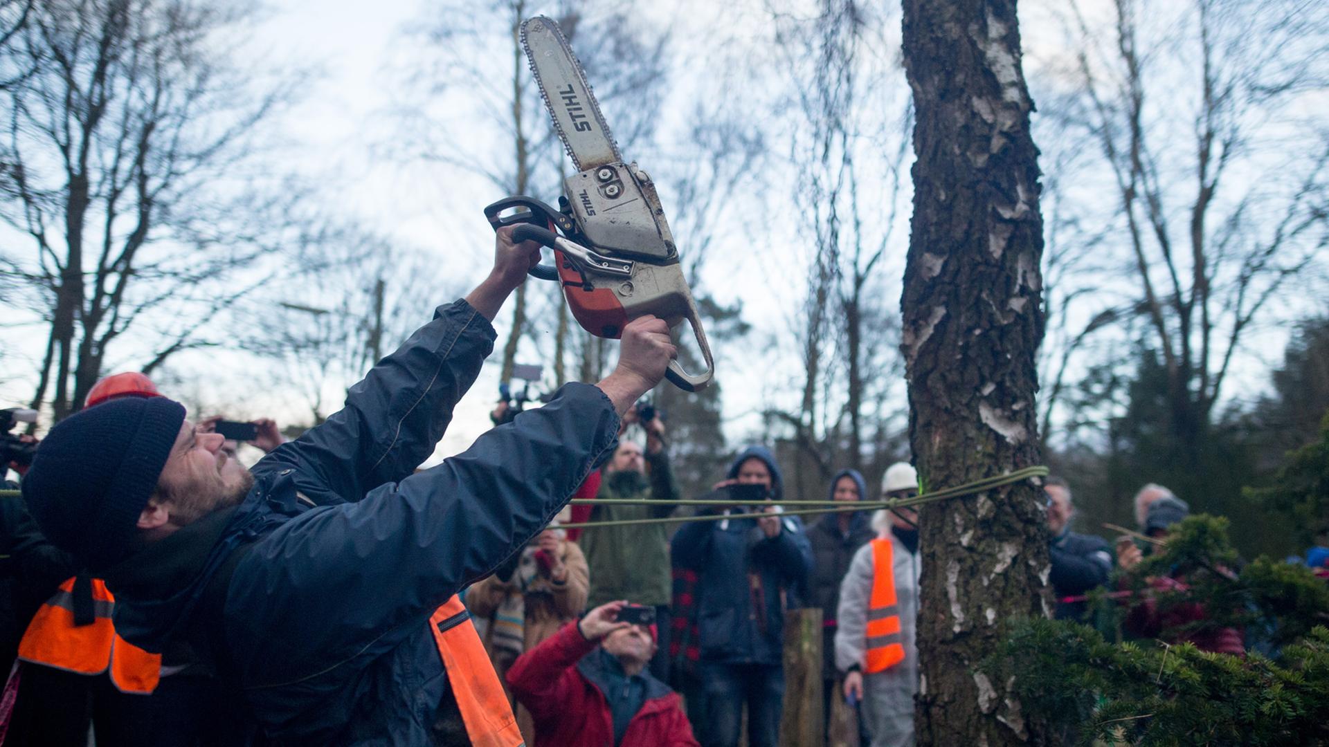 Ein Demonstrant hält am in Hamburg vor einem Baum eine Kettensäge mit die Luft. Ein Demonstrant hält am in Hamburg vor einem Baum eine Kettensäge mit die Luft.
