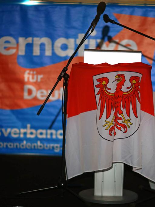 Die Brandenburgfahne hängt am 14.09.2014 in Potsdam über dem Rednerpult bei der AfD-Wahlparty.