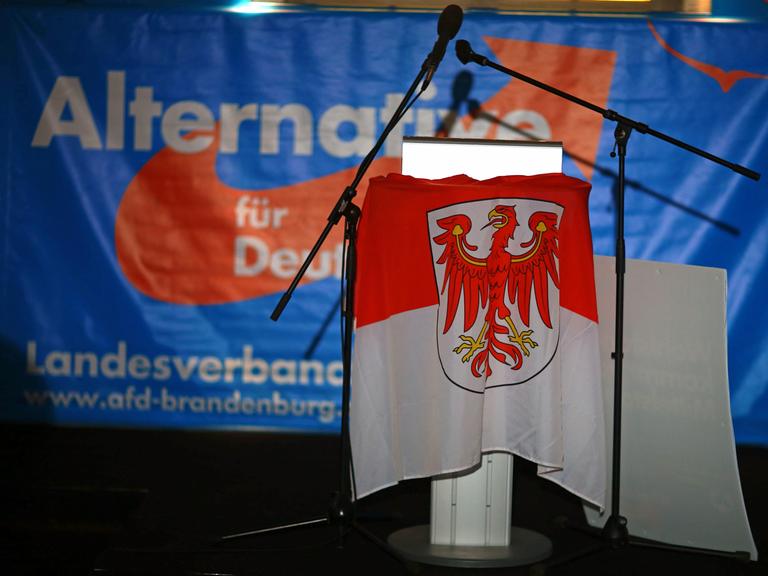 Die Brandenburgfahne hängt am 14.09.2014 in Potsdam über dem Rednerpult bei der AfD-Wahlparty.