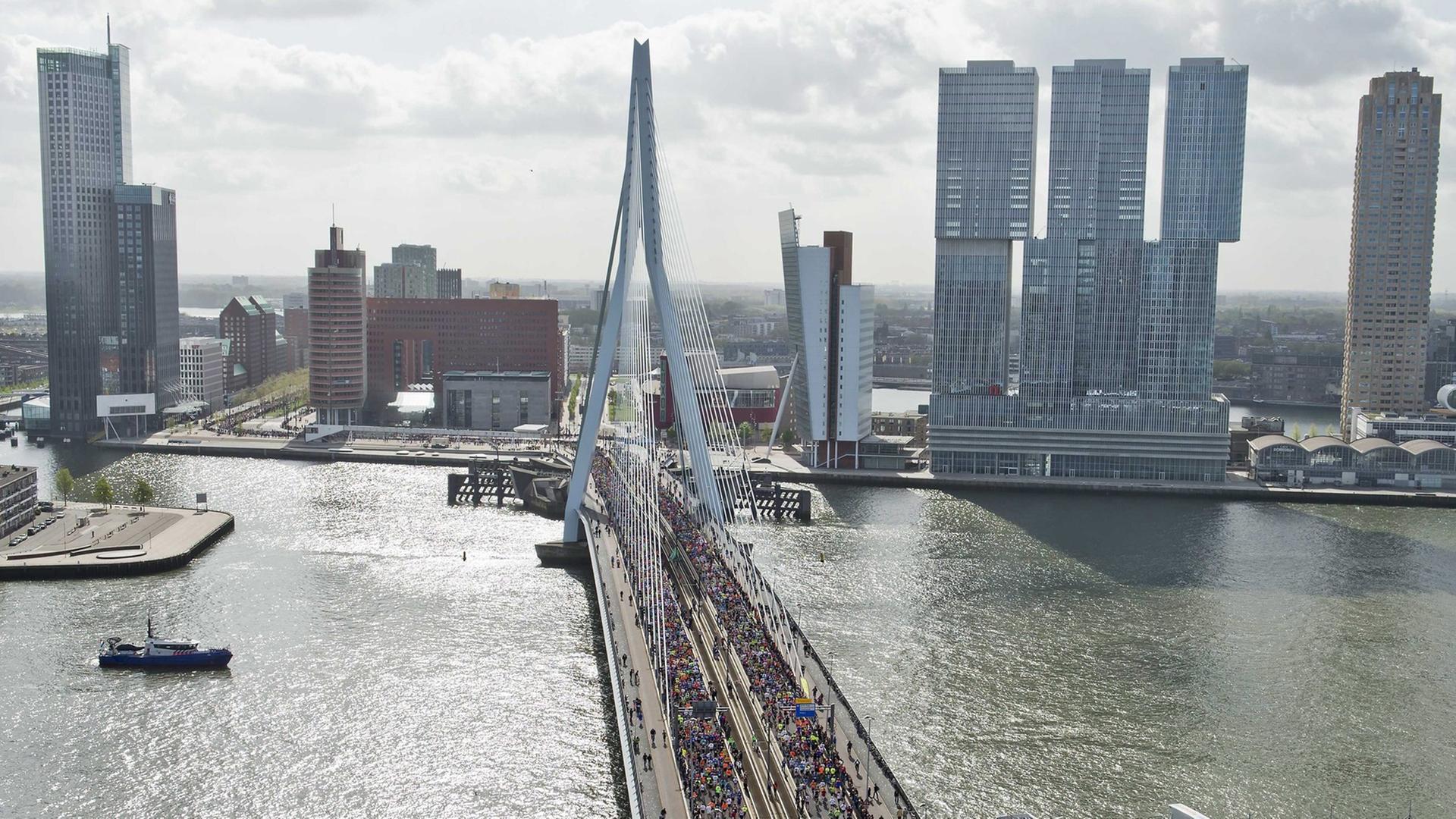 Blick auf die Erasmusbrücke in Rotterdam Blick auf die Erasmusbrücke in Rotterdam