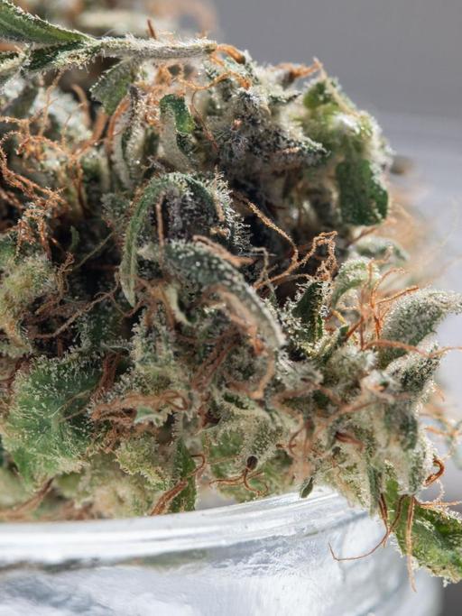 Der Bundesstaat New York will bald ein Gesetz verabschieden, dass den Besitz von 85 Gramm Cannabis legalierst.
