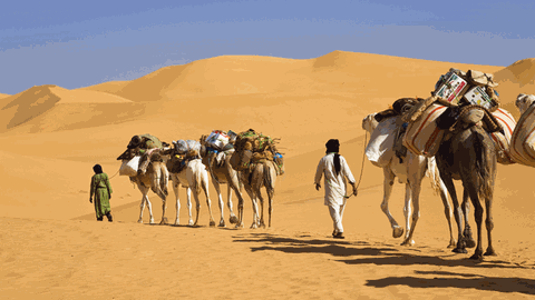 Eine Karawane von Dromedaren und Menschen in der libyschen Wüste.