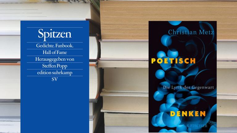 Steffen Popp (HG.): "Spitzen", Suhrkamp Verlag und Christian Metz: "Poetisch denken", S.Fischer Verlag Steffen Popp (HG.): "Spitzen", Suhrkamp Verlag und Christian Metz: "Poetisch denken", S.Fischer Verlag