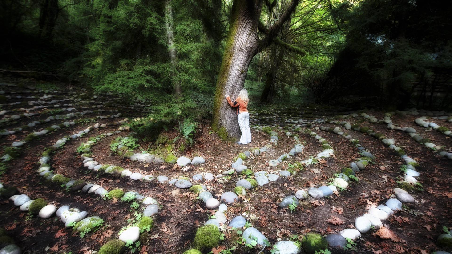 Eine Frau umarmt einen Baum. Eine Frau umarmt einen Baum.