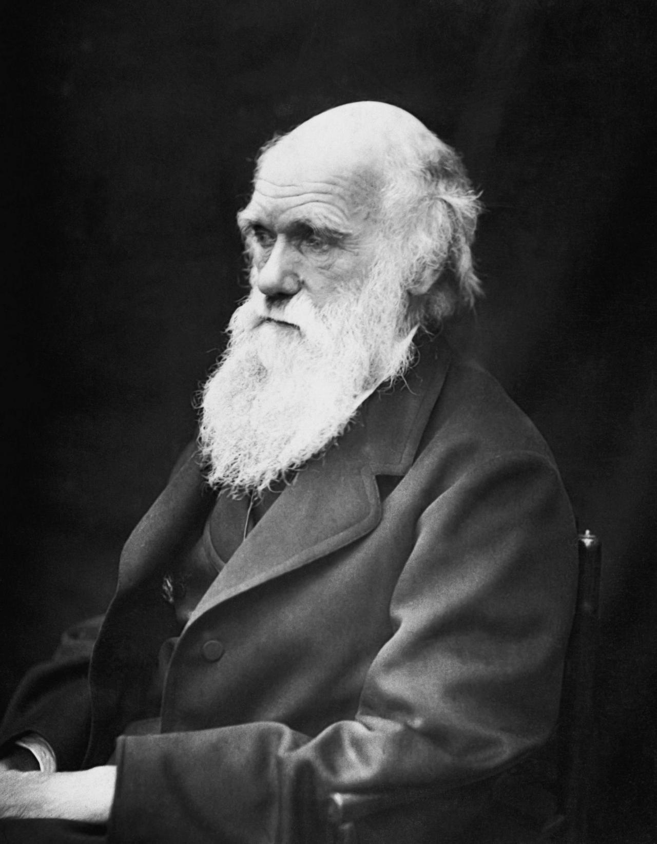 Eine Fotografie des britischen Naturforschers und Geologen Charles Darwin, ein alter Mann mit langem weißem Bart
