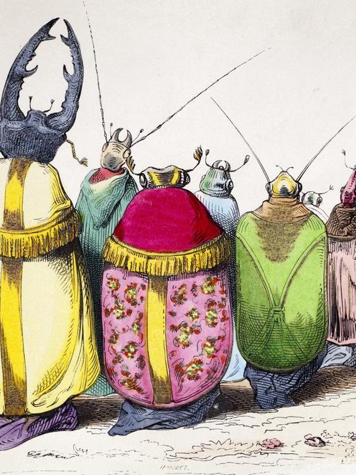 Ein Prozession aus gekleideten Käfern gehen in dieser Zeichnung gemeinsam ihren Weg.