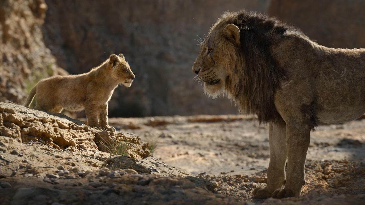 Filmszene aus "König der Löwen" (2019) mit Simba und Scar. Filmszene aus "König der Löwen" (2019) mit Simba und Scar.