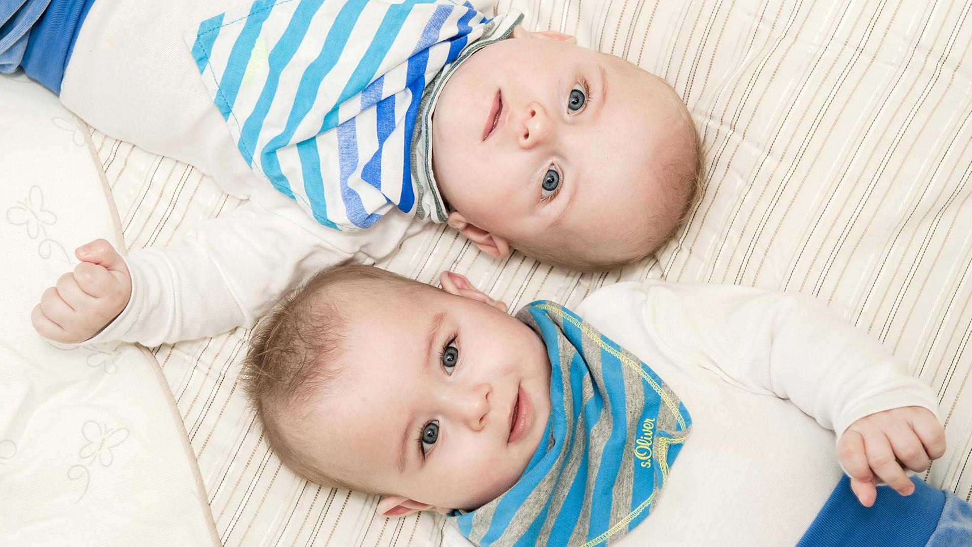 Zwei eineiige Zwillings-Babys Zwei eineiige Zwillings-Babys