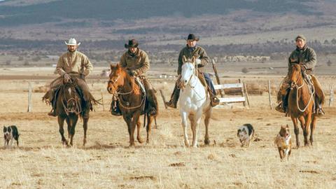 Aufd Foto sind vier Cowboys auf Prefen zu sehen , sowie drei Hunde.
