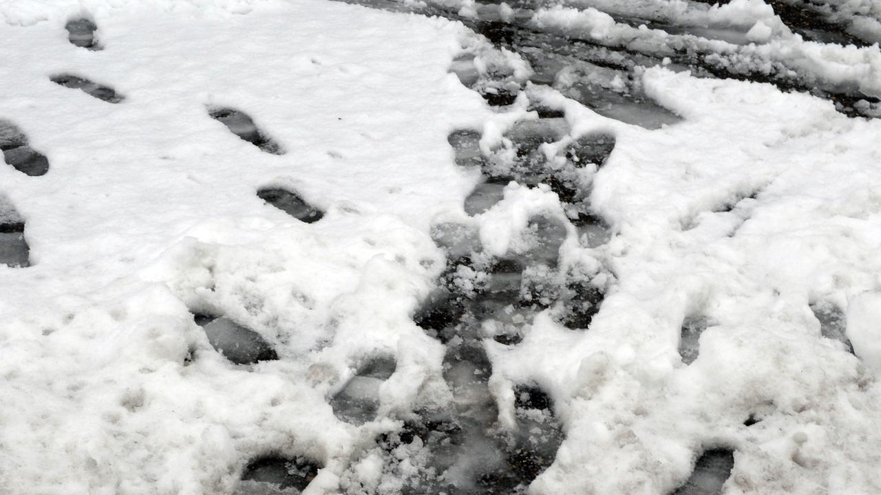 Verschiedene Fußabdrücke im Schnee 