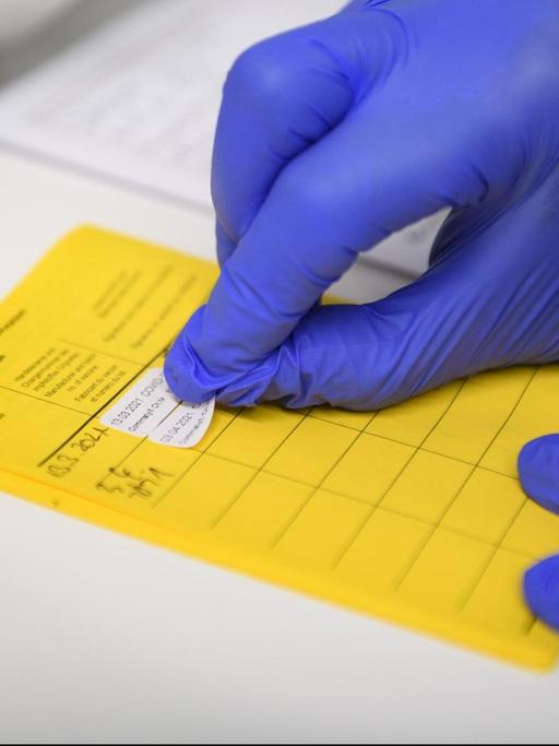 Eine Hand mit Schutzhandschuh klebt einen Aufkleber in einen gelben Impfpass