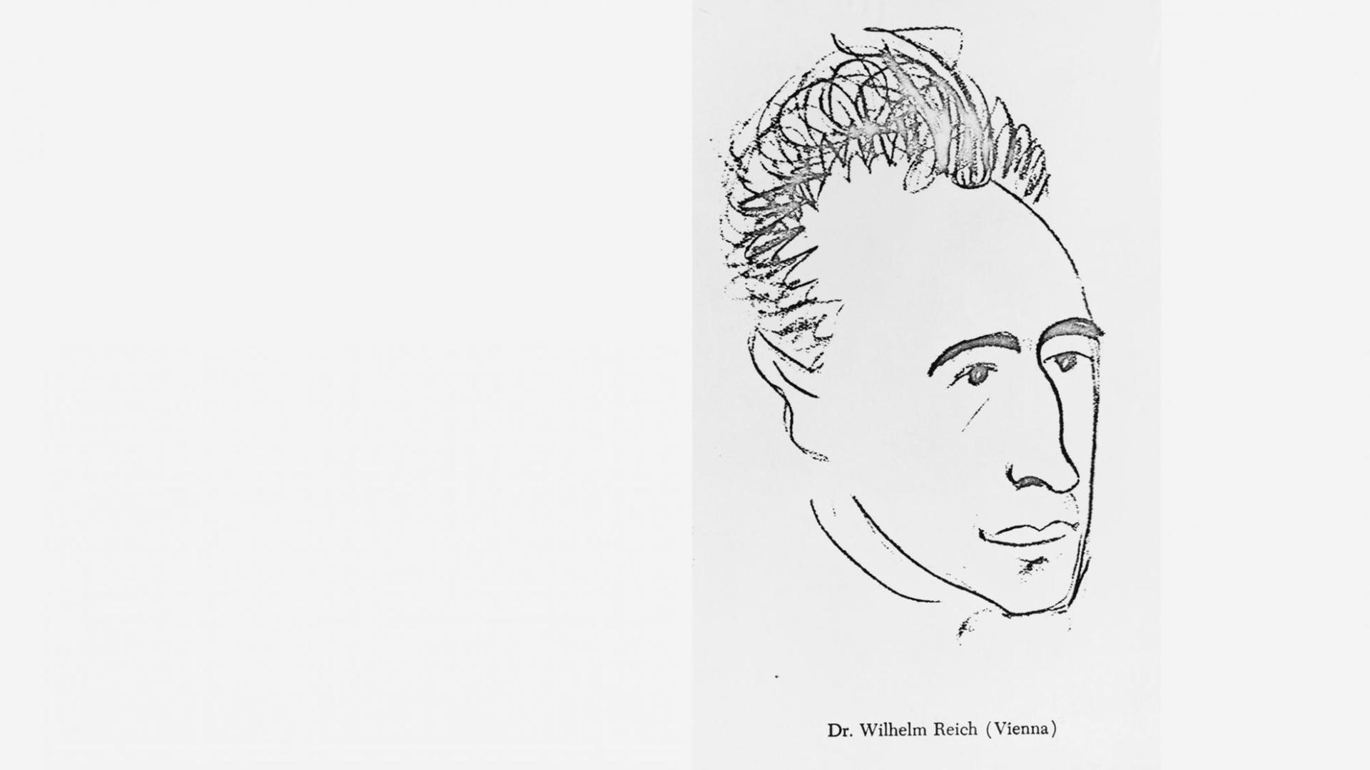 Wilhelm Reich (1897-1957), österreichischer Psychoanalytiker, Therapeut und Schüler von Sigmund Freud. Zeichnung, Urheber unbekannt.