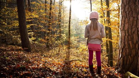 Ein Mädchen steht mit Rücken gewandt zur Kamera ein einem Wald und schaut Richtung Sonne.