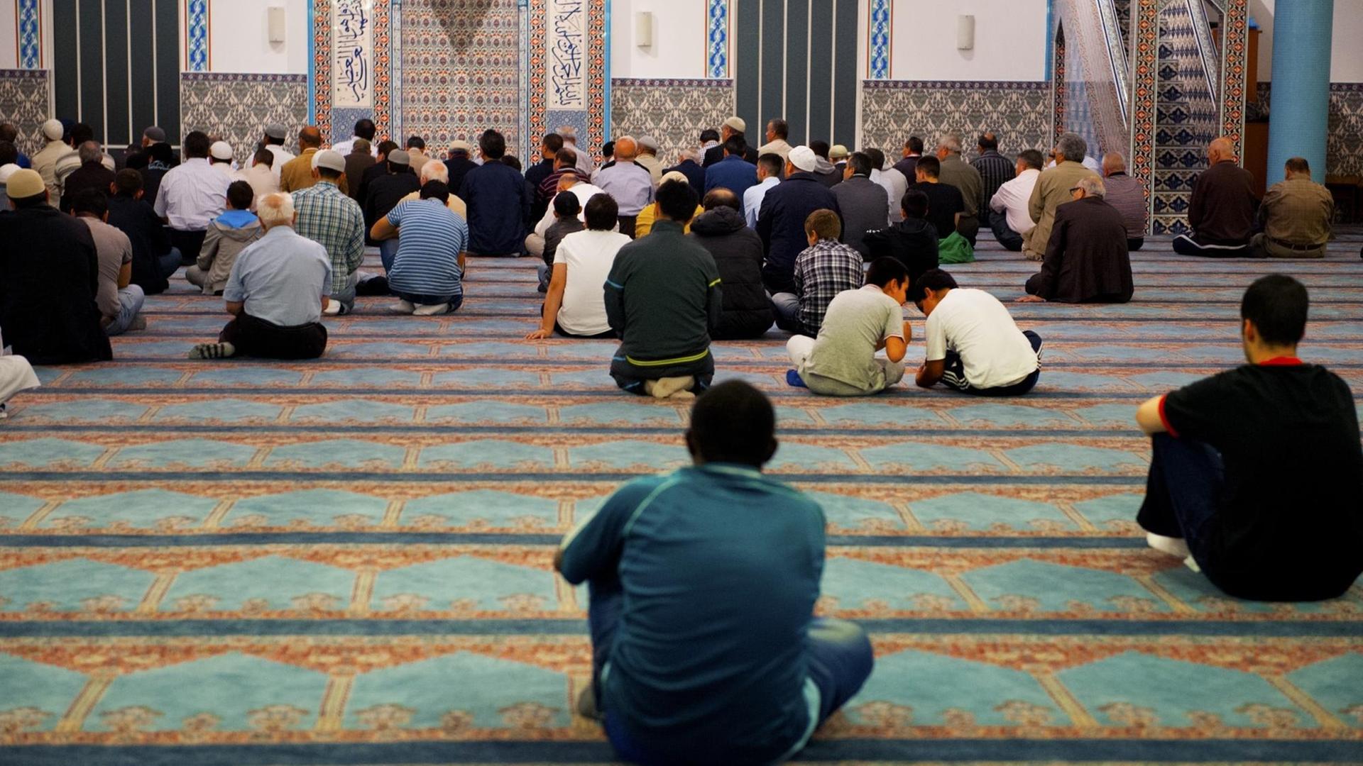 Muslime bei einem Gebet in der Mevlana-Moschee in Rotterdam in den Niederlanden. Muslime bei einem Gebet in der Mevlana-Moschee in Rotterdam in den Niederlanden.