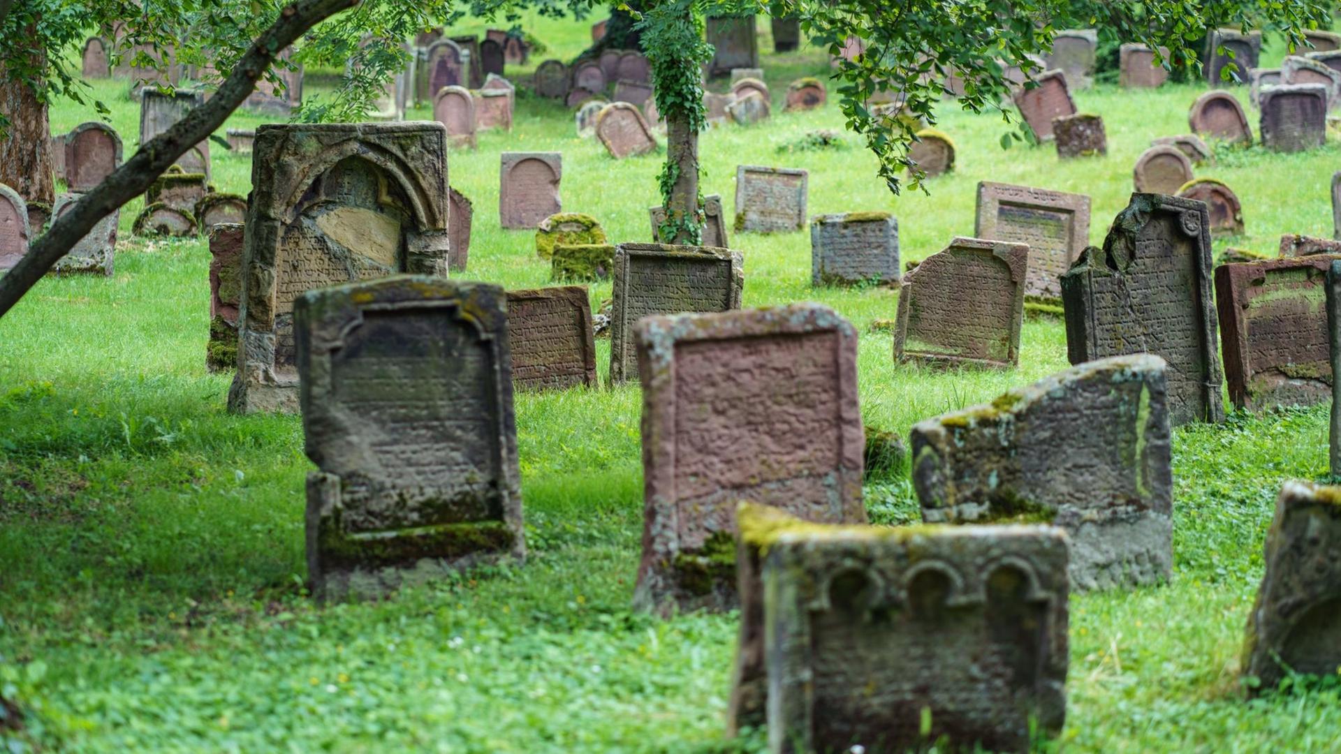 Grabsteine auf dem Friedhof "Heiliger Sand" in Worms. Er ist der älteste jüdische Friedhof Europas und als Teil der sogenannten SchUM-Stätten jetzt Weltkulturerbe. Grabsteine auf dem Friedhof "Heiliger Sand" in Worms. Er ist der älteste jüdische Friedhof Europas und als Teil der sogenannten SchUM-Stätten jetzt Weltkulturerbe.
