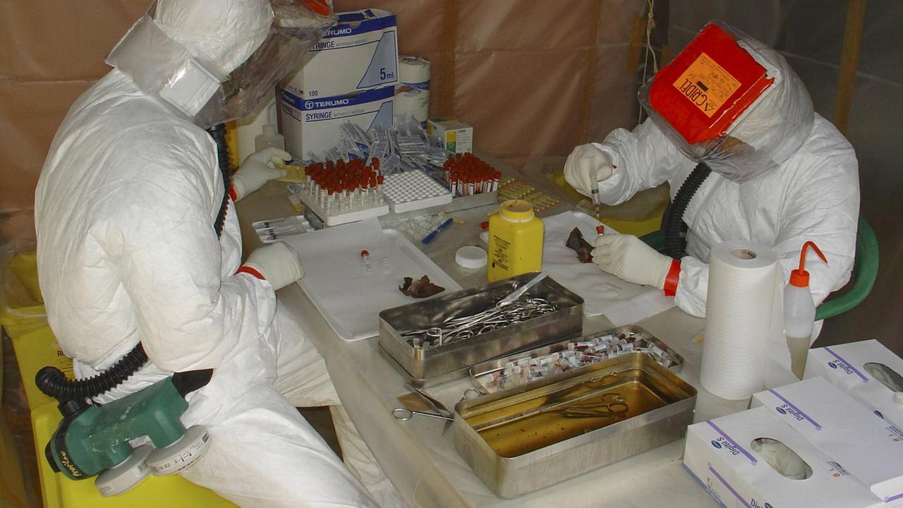 Virologen in Schutzkleidung nehmen eine Blutprobe bei einer Fledermaus auf der Suche nach mit Ebola infizierten Wirtstieren (Aufnahme von 2005 aus Mbomo, Republik Kongo) Virologen in Schutzkleidung nehmen eine Blutprobe bei einer Fledermaus auf der Suche nach mit Ebola infizierten Wirtstieren (Aufnahme von 2005 aus Mbomo, Republik Kongo)