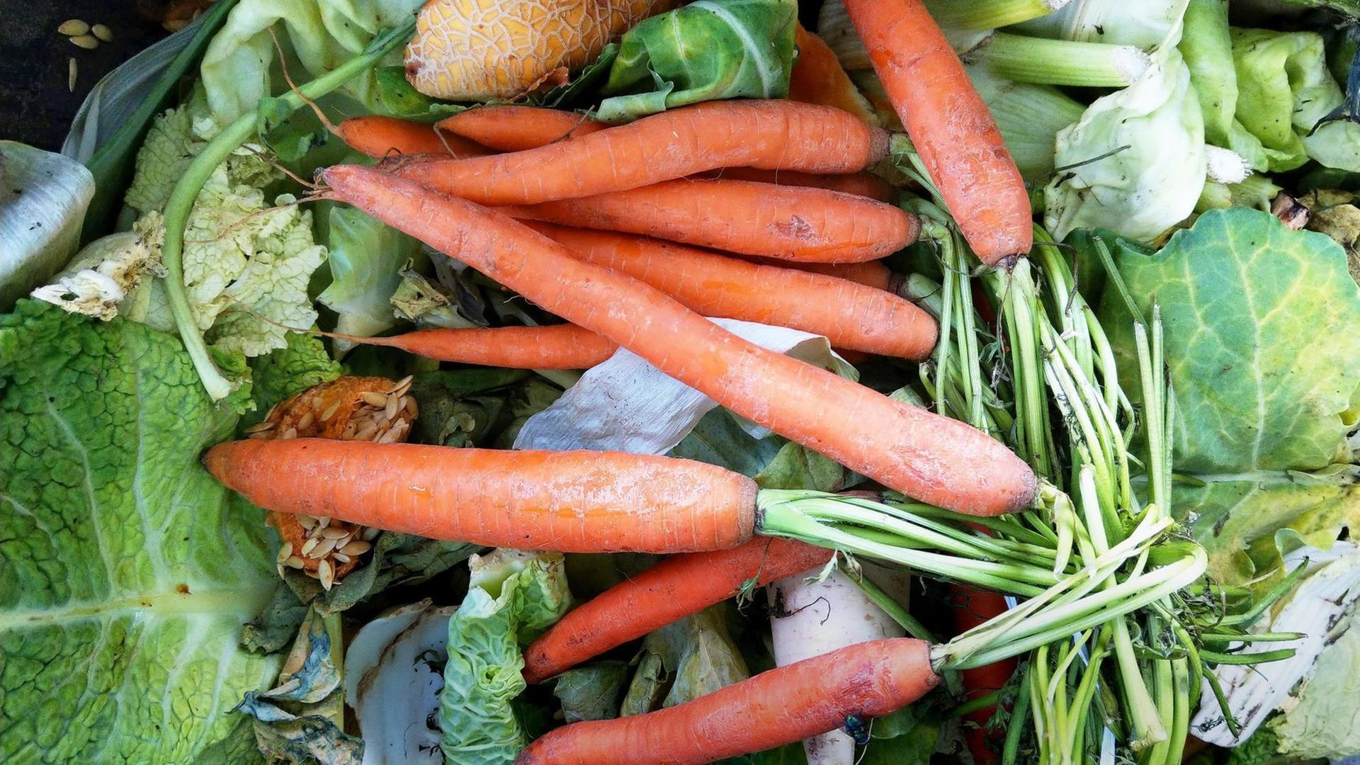 Möhren uns Salat liegen im Müll. Möhren uns Salat liegen im Müll.
