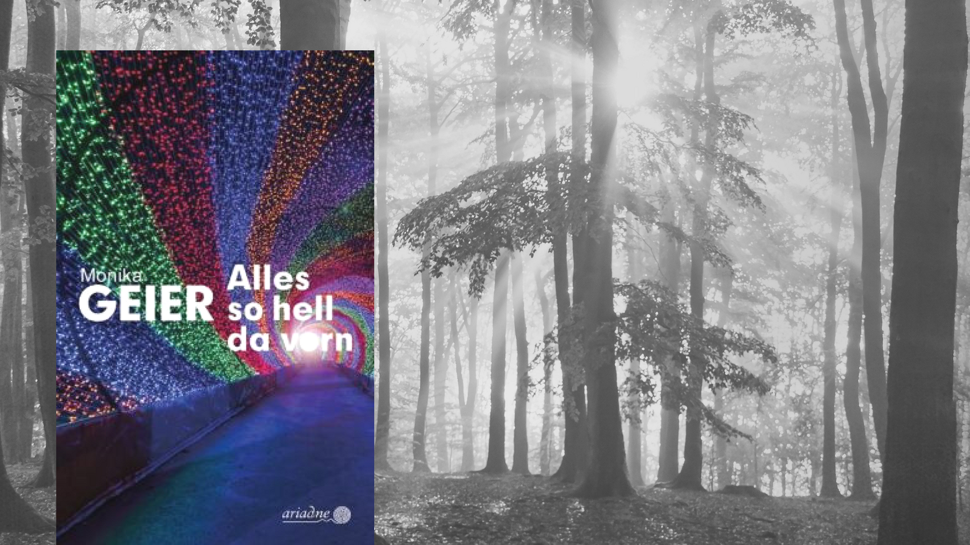 Monika Geiers Krimi "Alles so hell da vorn". Im Hintergrund: ein nebliger Wald mit Sonne. Monika Geiers Krimi "Alles so hell da vorn". Im Hintergrund: ein nebliger Wald mit Sonne.
