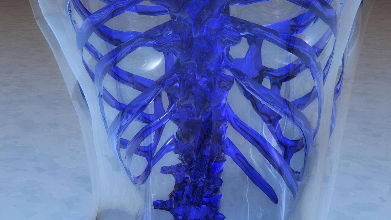 Das 3D-Modell der Wirbelsäule einer Frau. Das 3D-Modell der Wirbelsäule einer Frau.