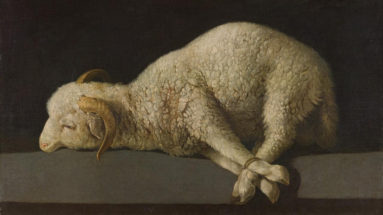 Ein Ölgemälde von Zurbarán: Ein Schaf liegt mit zusammengebunden Hufen auf der Erde.