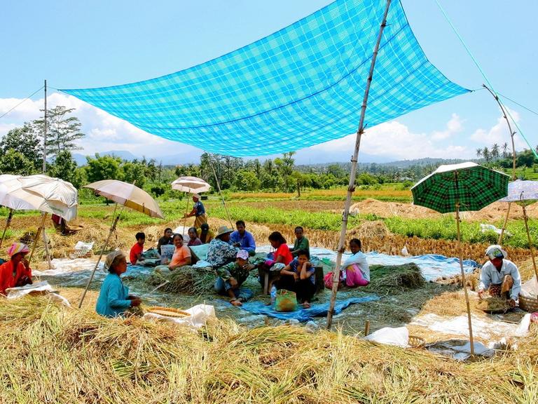 Indonesien: Bauern arbeiten in einem Reisfeld in der Nähe des Dorfes Abang, aufgenommen am 06.04.2007.
