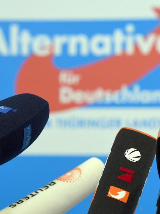 Mikrofone verschiedener Fernsehsender stehen im Thüringer Landtag in Erfurt vor dem Parteilogo der AfD.