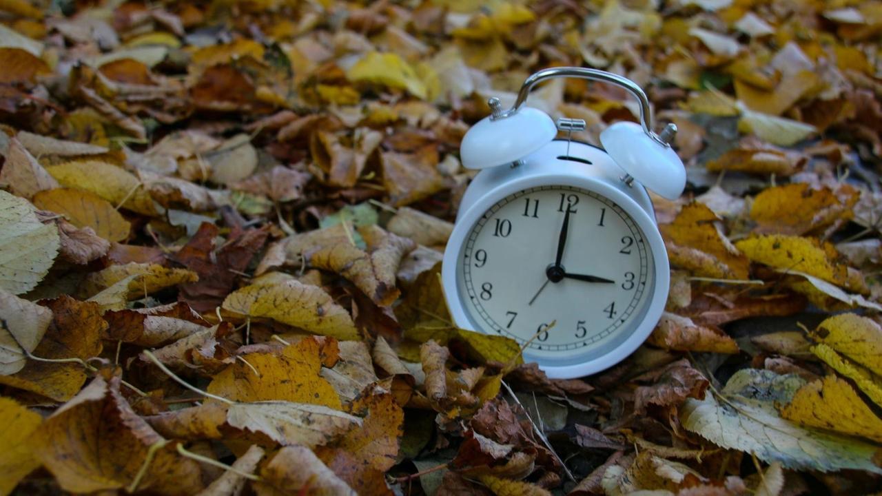Nostalgiewecker steht im Herbstlaub Nostalgiewecker steht im Herbstlaub